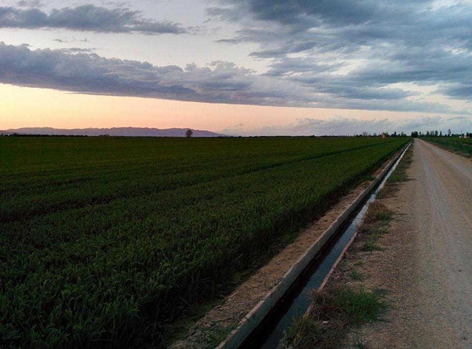 Caseta Manigotxa Deltebre Εξωτερικό φωτογραφία